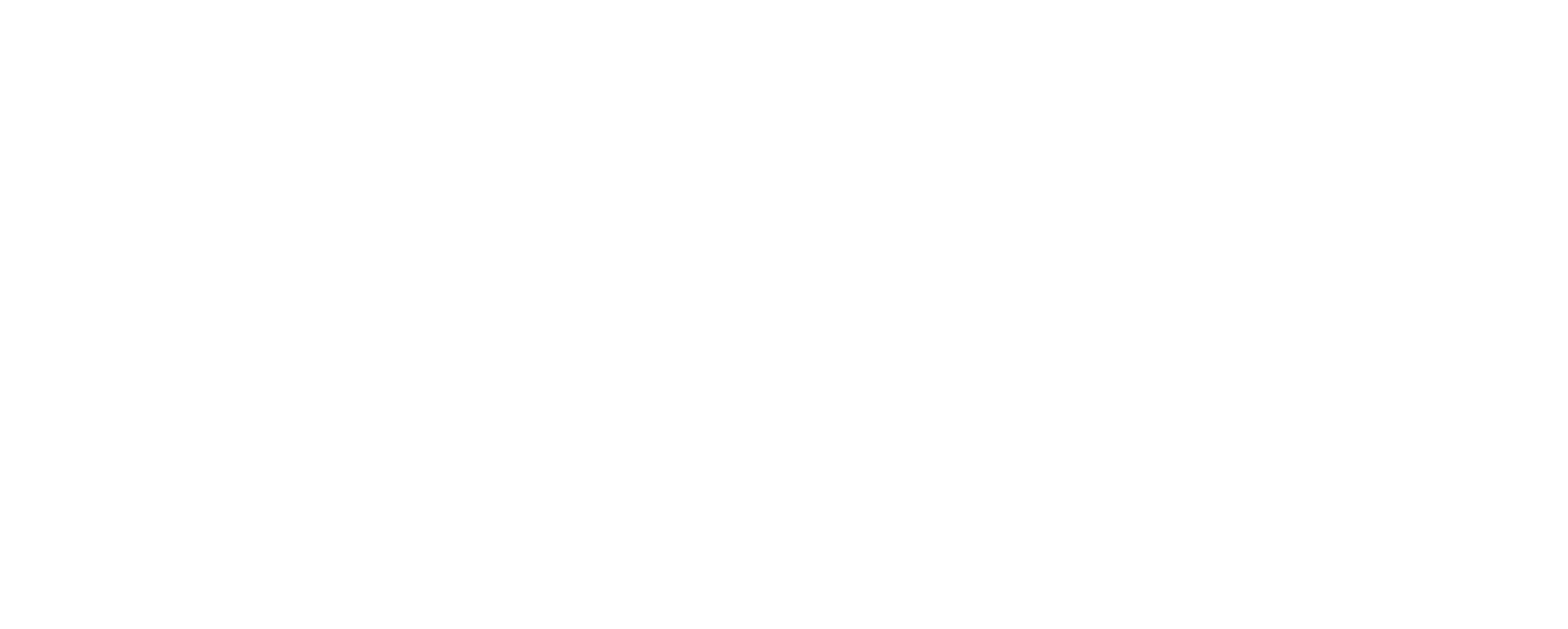 NT IT Services